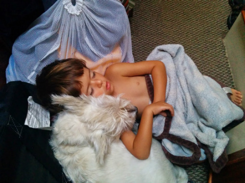 We woke one morning to find Carter and Winston curled up together at the head of our bed.