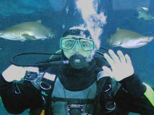 Underwater Confessions