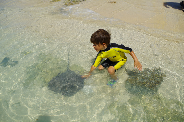 Carter loved being able to touch the stingrays as they swam by!
