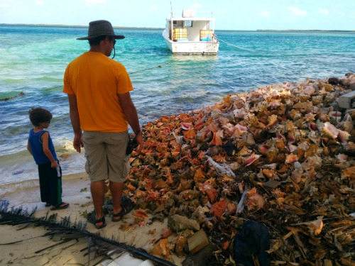 All along Kings Highway were huge piles of discarded conch shells. One man's trash is another's treasure I suppose.