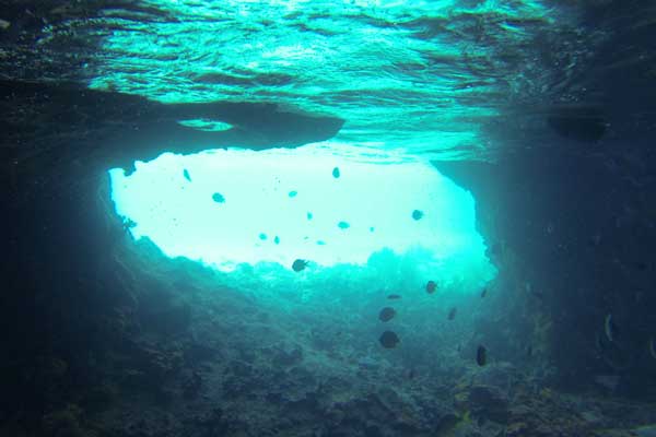Most of the entrances are underwater at high tide.