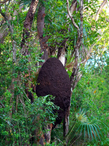 Does anyone know what lives here? We didn't stick around to find out!