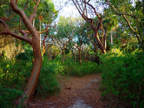 The nature trail was beautiful!