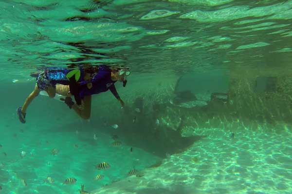 Carter loved snorkeling the plane.